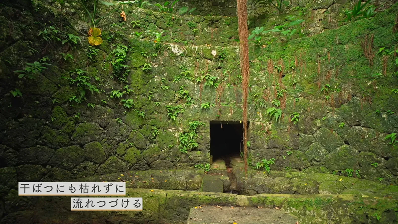 首里にある風情 ─ 指司笠樋川